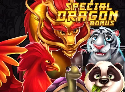 Special Dragon Bonus