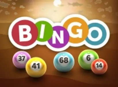 Spigo Bingo