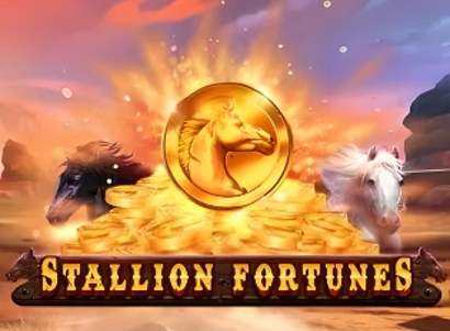 Stallion Fortunes