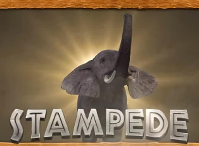 Stampede
