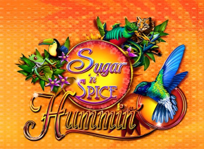 Sugar n Spice Hummin