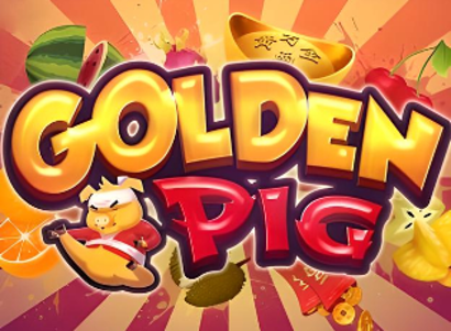 Swintt Golden Pig