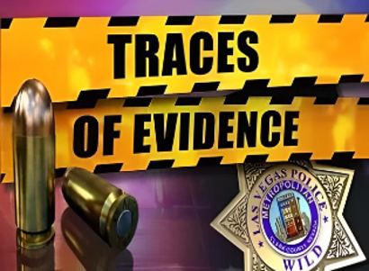 Traces of Evidence