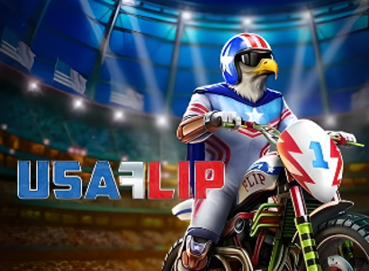 USA Flip