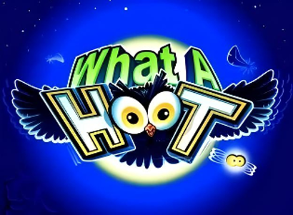 What a Hoot