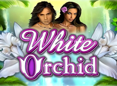 White Orchid