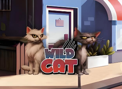 Wild Cat