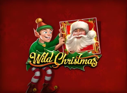 Wild Christmas