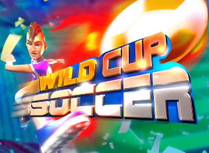 Wild Cup Soccer
