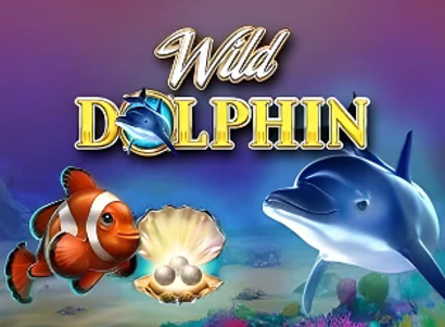 Wild Dolphins