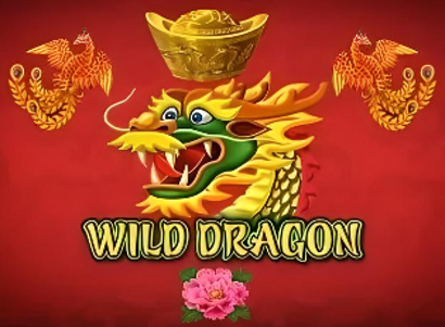 Wild Dragon