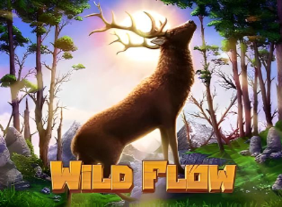 Wild Flow