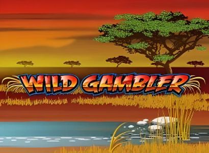 Wild Gambler