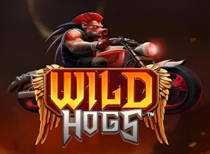 Wild Hogs