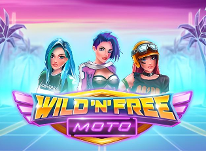 Wild N Free Moto