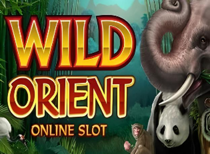 Wild Orient