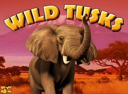 Wild Tusks