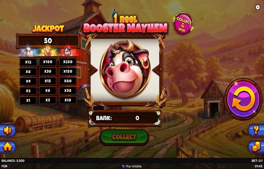 1 Reel Rooster Mayhem
