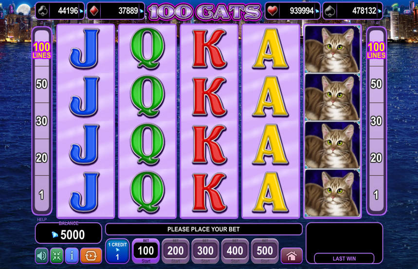100 Cats