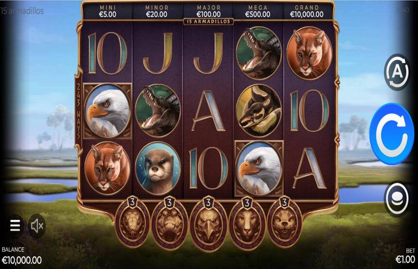 15 Armadillos