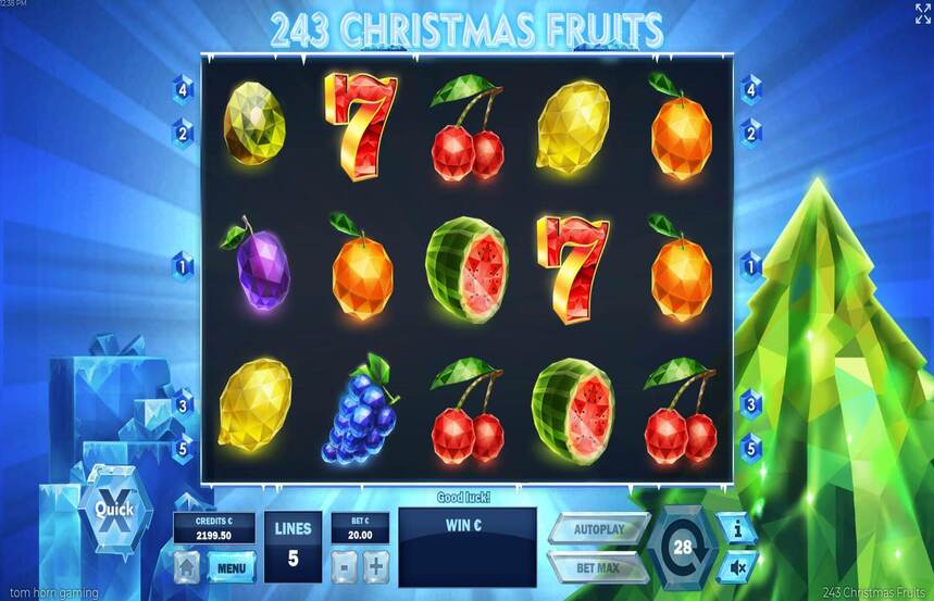243 Christmas Fruits