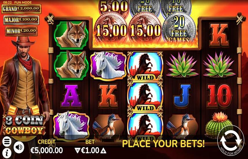 3 Coin Cowboy
