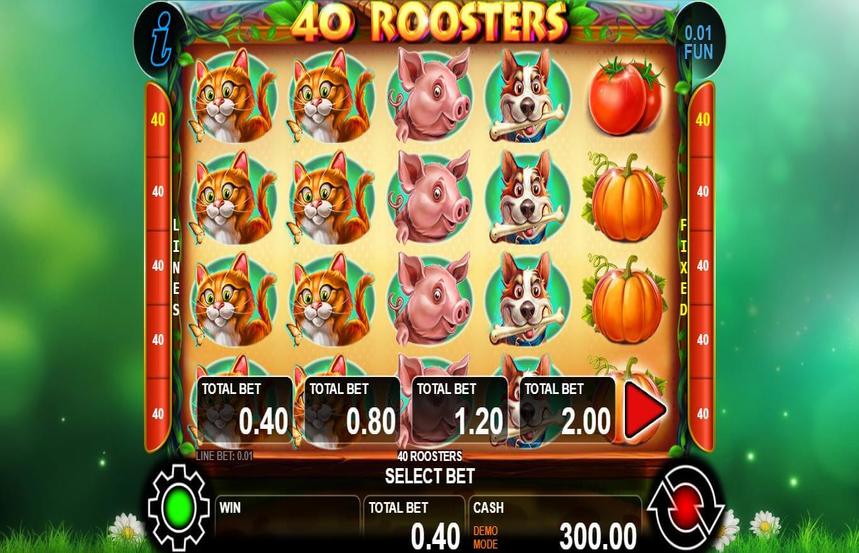 40 Roosters