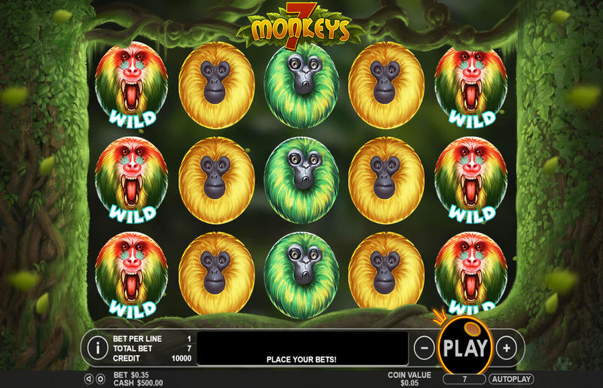 7 Monkeys