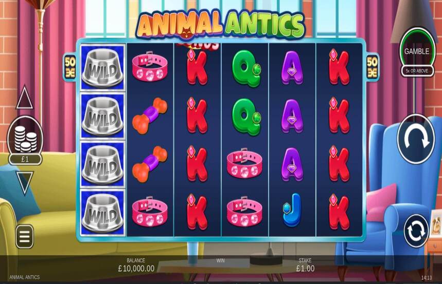 Animal Antics