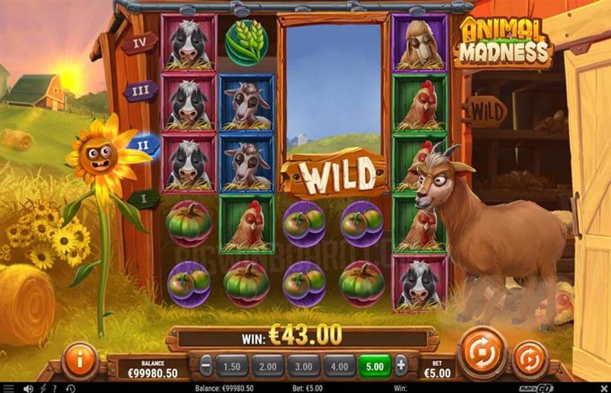 Animal Madness