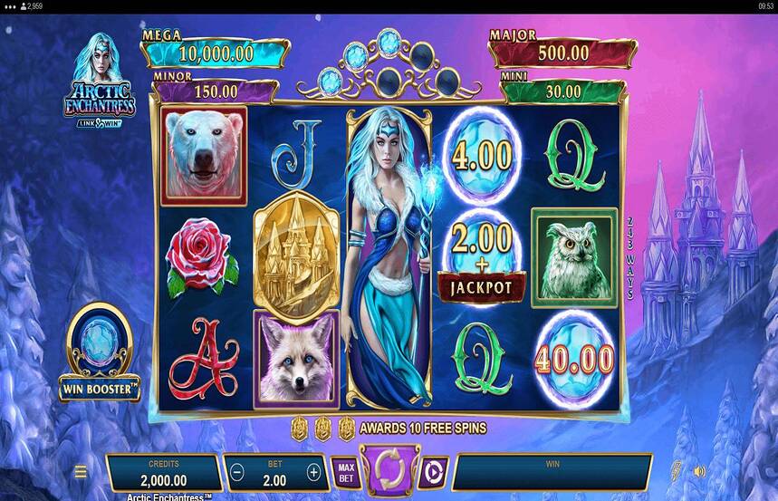 Arctic Enchantress