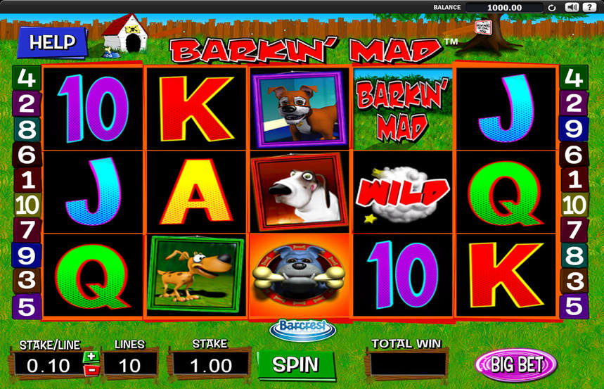Barkin Mad