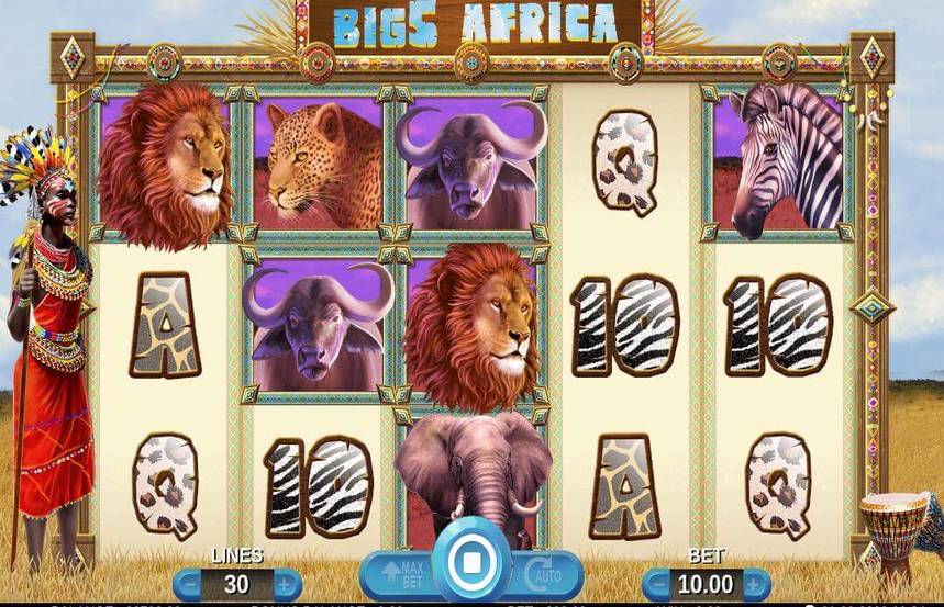 Big 5 Africa
