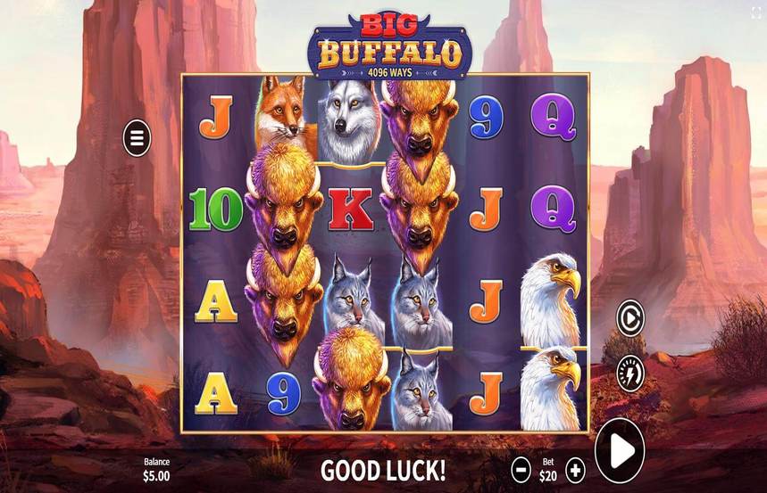 Big Buffalo