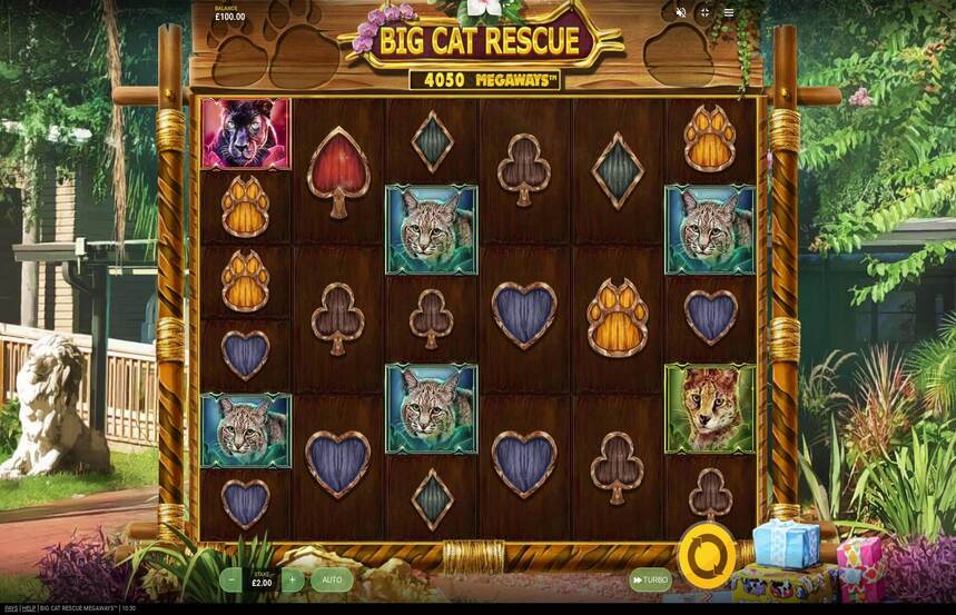 Big Cat Rescue MegaWays