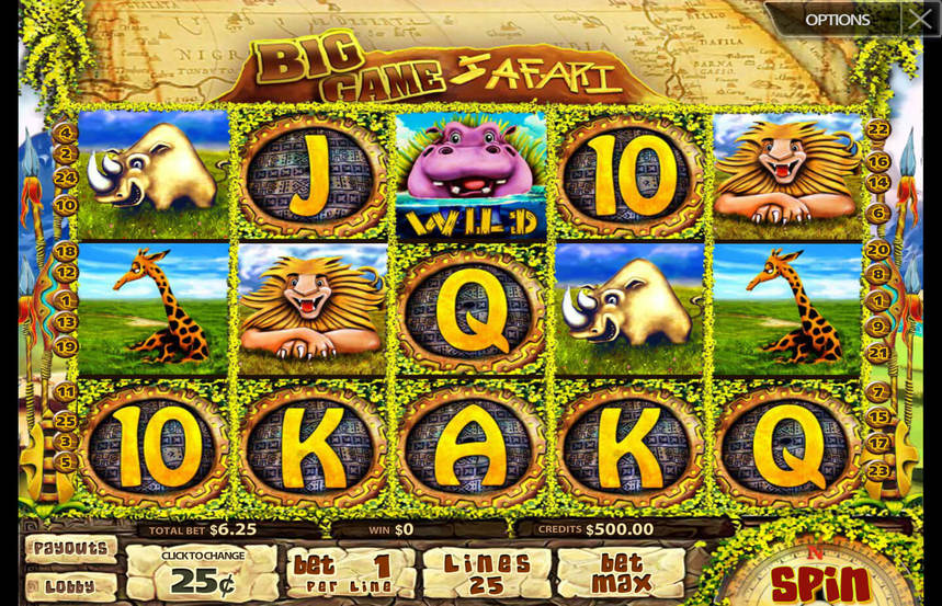 Big Game Safari