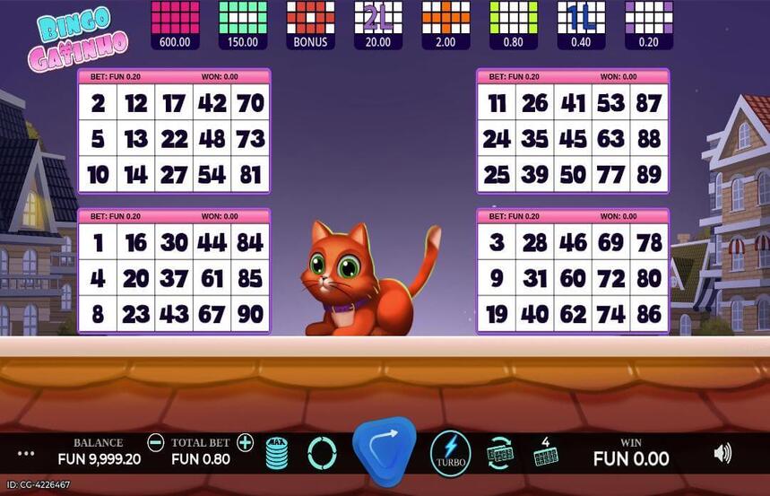 Bingo Gatinho