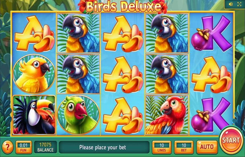 Birds Deluxe
