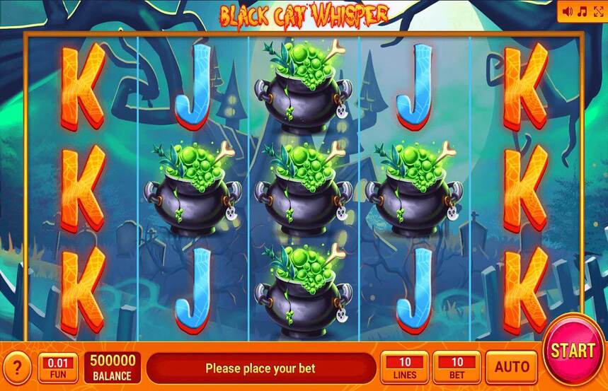 Black Cat Whisper