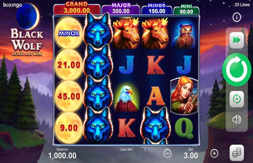 Black Wolf Hold and Win