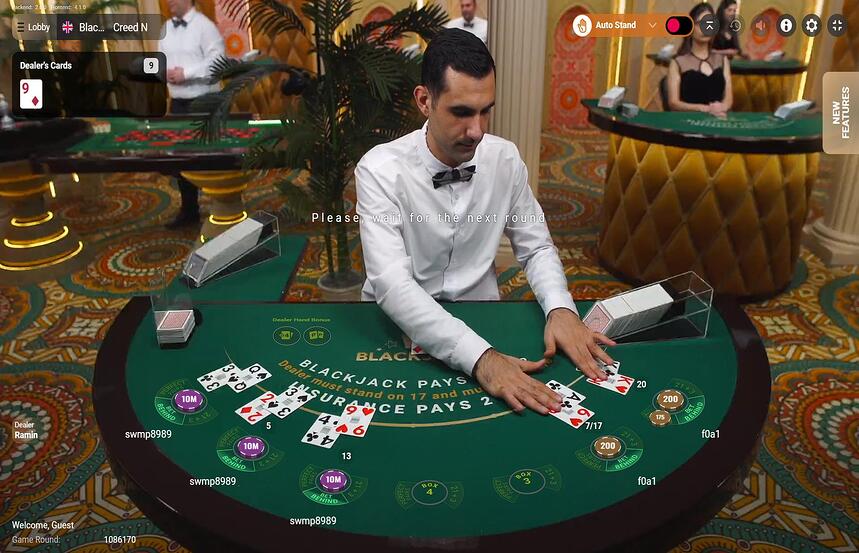Blackjack Creed N