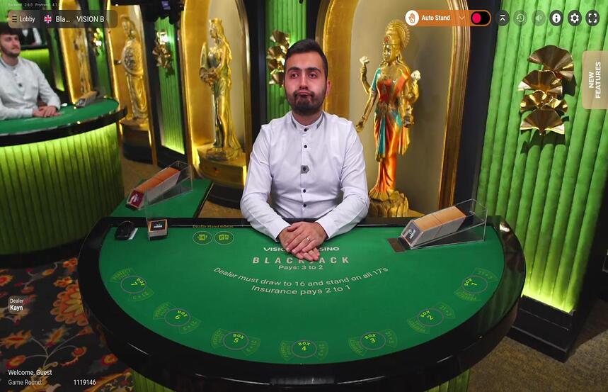 Blackjack VISION B