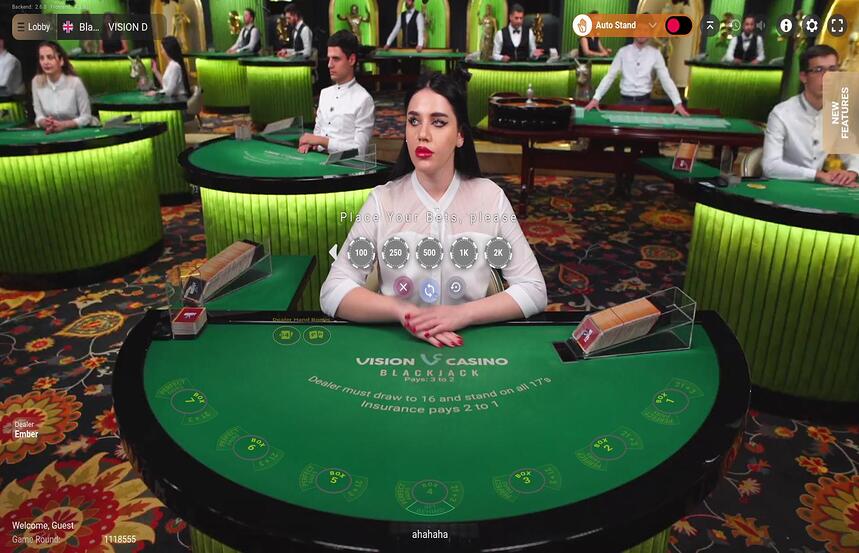 Blackjack VISION D