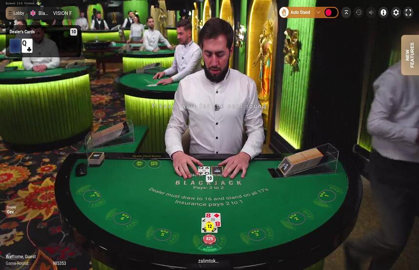 Blackjack VISION F