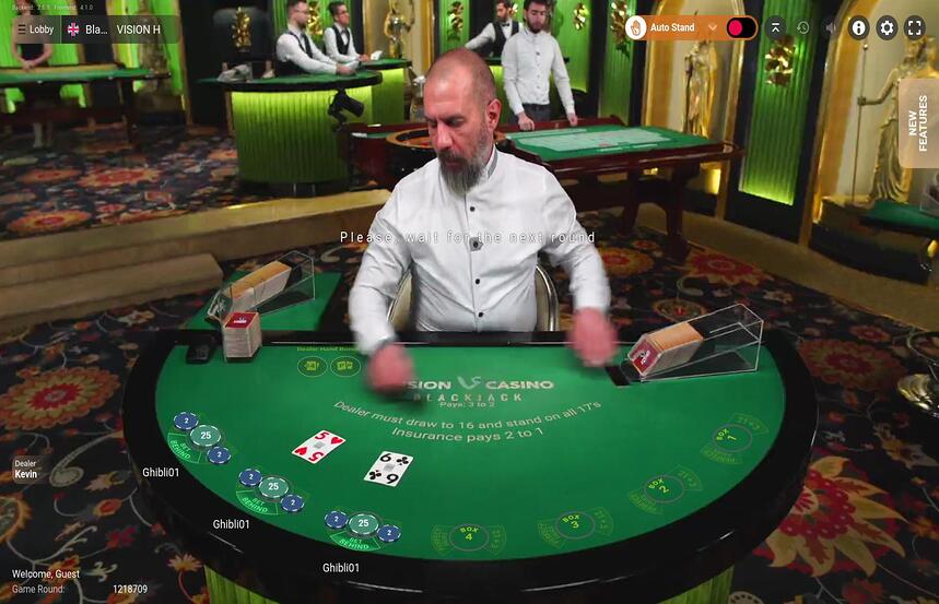Blackjack VISION H