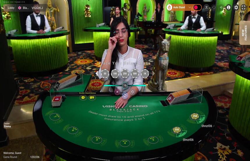 Blackjack VISION J