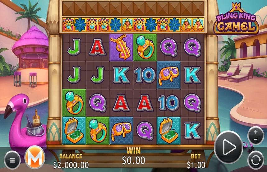 Bling King Camel