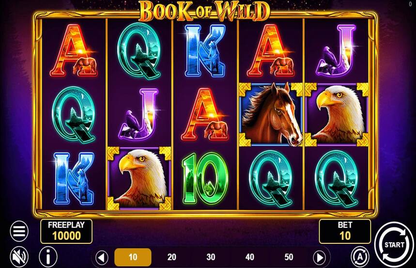Book Of Wild
