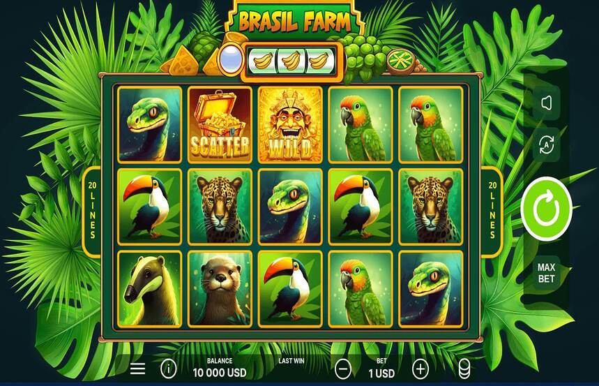 Brasil Farm