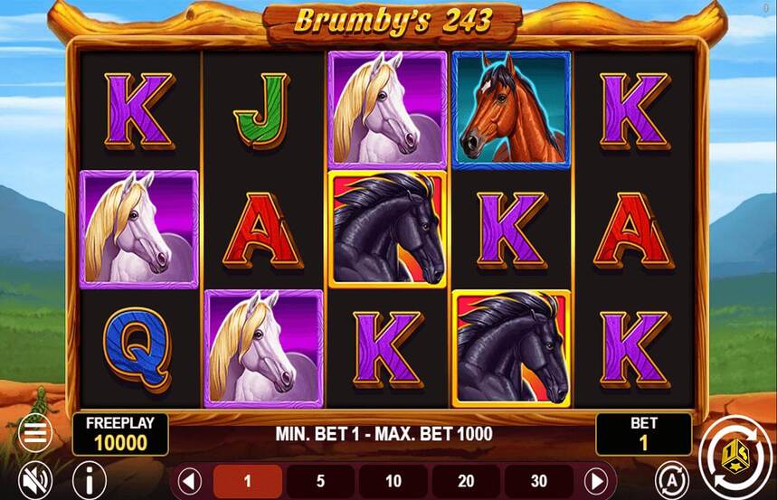 Brumbys 243